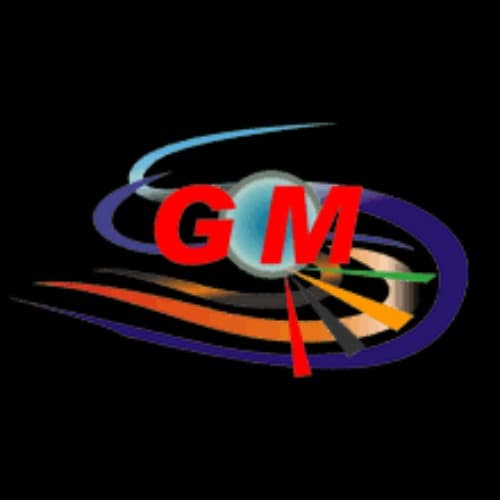 Logo de TRANSPORTES G M INTERNACIONAL S.A.C.